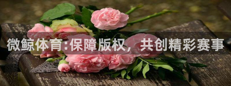 上海大鲨鱼直播免费观看：微鲸体育:保障版权，共创精彩赛事