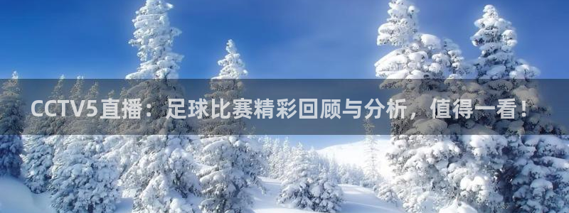 鲨鱼直播.：CCTV5直播：足球比赛精彩回顾与分析，值得一看！