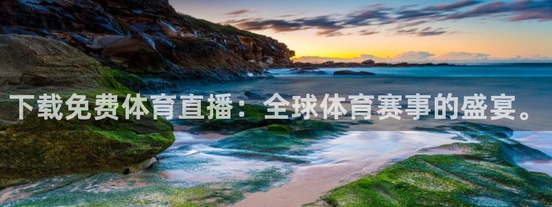 鲨鱼直播篮球：下载免费体育直播：全球体育赛事的盛宴。