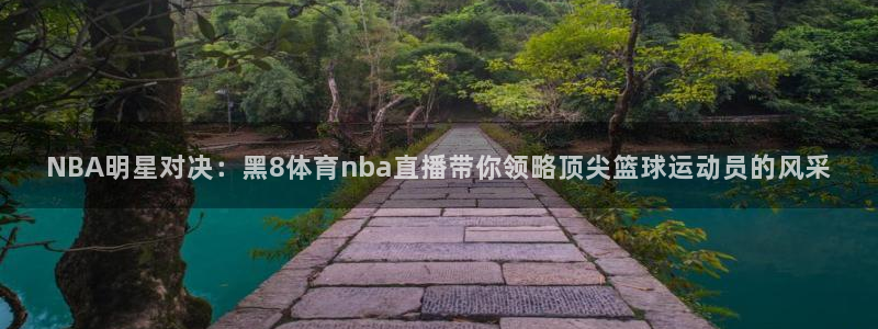 鲨鱼直播ios：NBA明星对决：黑8体育nba直播带你领略顶尖篮球运动员的风采