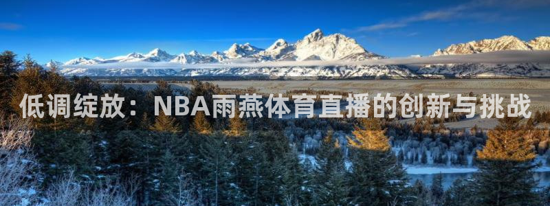 鲨鱼直播网站：低调绽放：NBA雨燕体育直播的创新与挑战