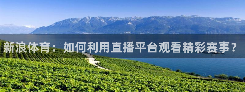 鲨鱼直播体育：新浪体育：如何利用直播平台观看精彩赛事？