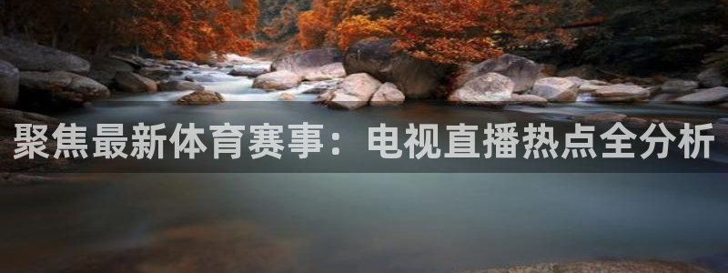 上海大鲨鱼直播免费观看：聚焦最新体育赛事：电视直播热点全分析