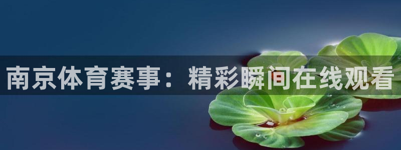 鲨鱼直播：南京体育赛事：精彩瞬间在线观看