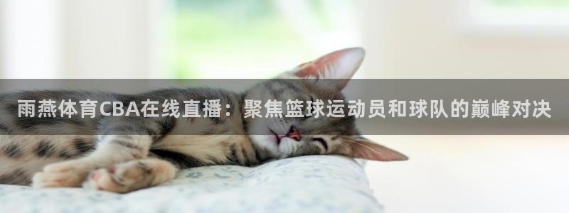 鲨鱼直播.