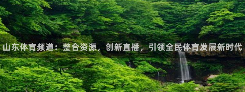 鲨鱼直播体育app：山东体育频道：整合资源，创新直播，引领全民体育发展新时代