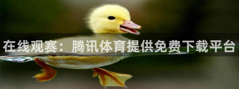 鲨鱼直播下载：在线观赛：腾讯体育提供免费下载平台