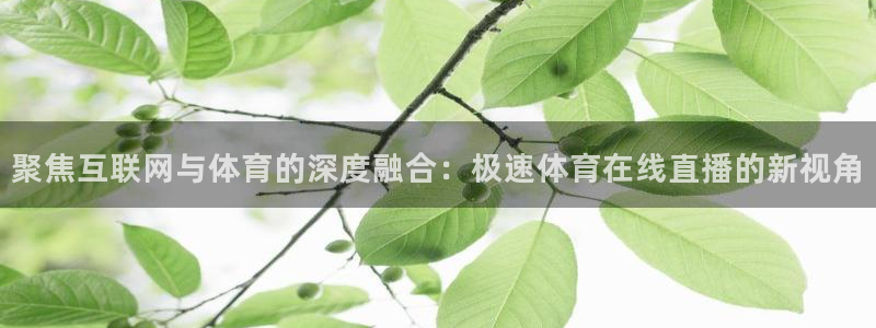 鲨鱼直播体育官网入口：聚焦互联网与体育的深度融合：极速体育在线直播的新视角