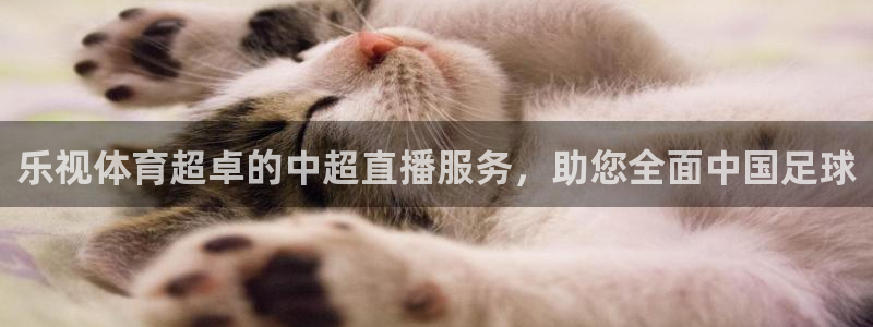 鲨鱼直播i官网进入：乐视体育超卓的中超直播服务，助您全面中国足球