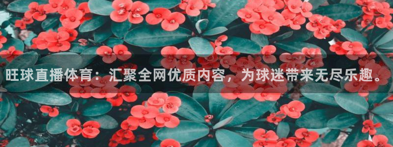 酷友鲨鱼直播：旺球直播体育：汇聚全网优质内容，为球迷带来无尽乐趣。