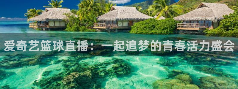 同志看鲨鱼直播官网：爱奇艺篮球直播：一起追梦的青春活力盛会